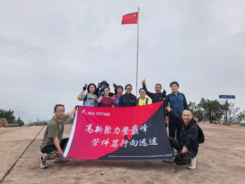 Verkoopteam Wandeldag: Samen klimmen